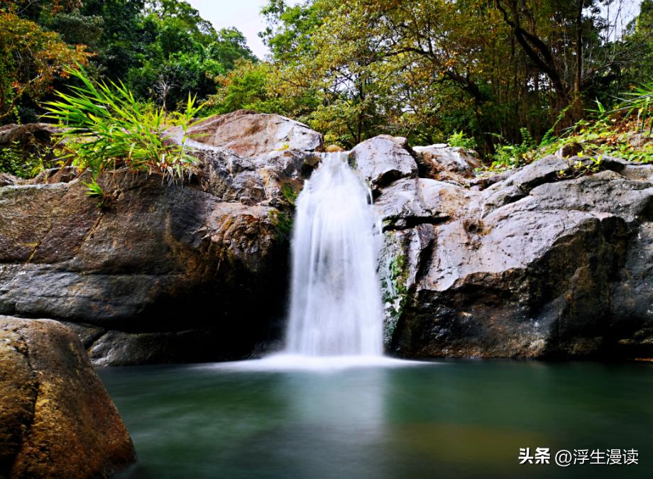 梅花易数万物类象解说视频,梅花易数万物类象全集