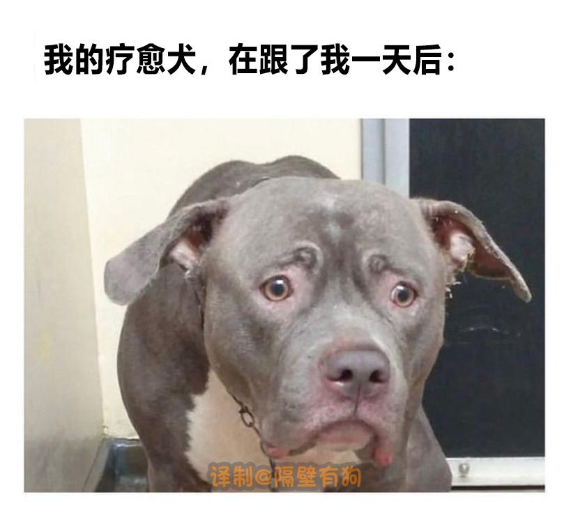 看完恐怖片不敢去最后一间厕所,看完恐怖片转移阵地