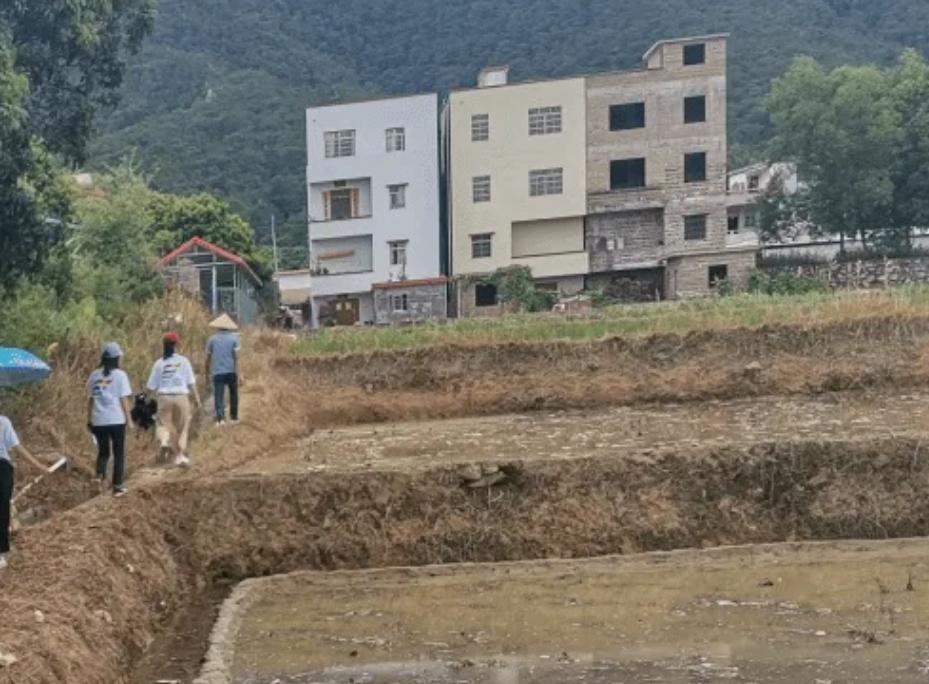 鍥涘窛鏉戞皯涓瘨,鍥涘窛鍐滄埛涓瘨