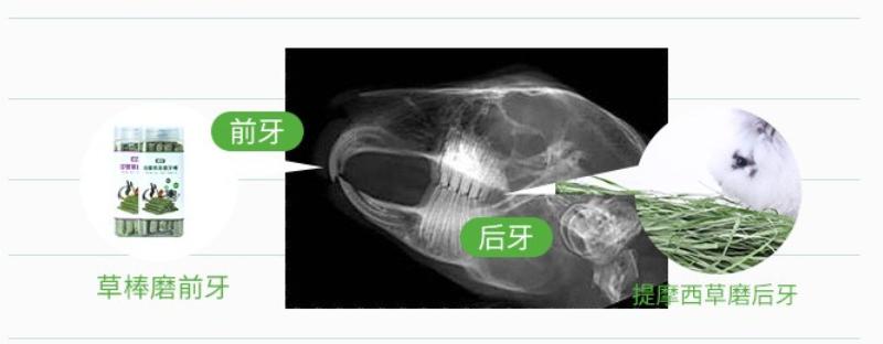 素食宠物食品,素食宠物零食有哪些品种