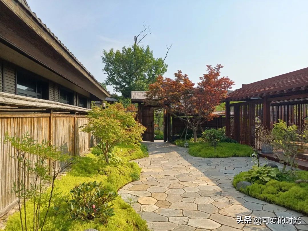 青岛旅行推荐的酒店宾馆,青岛有哪些值得推荐的酒店