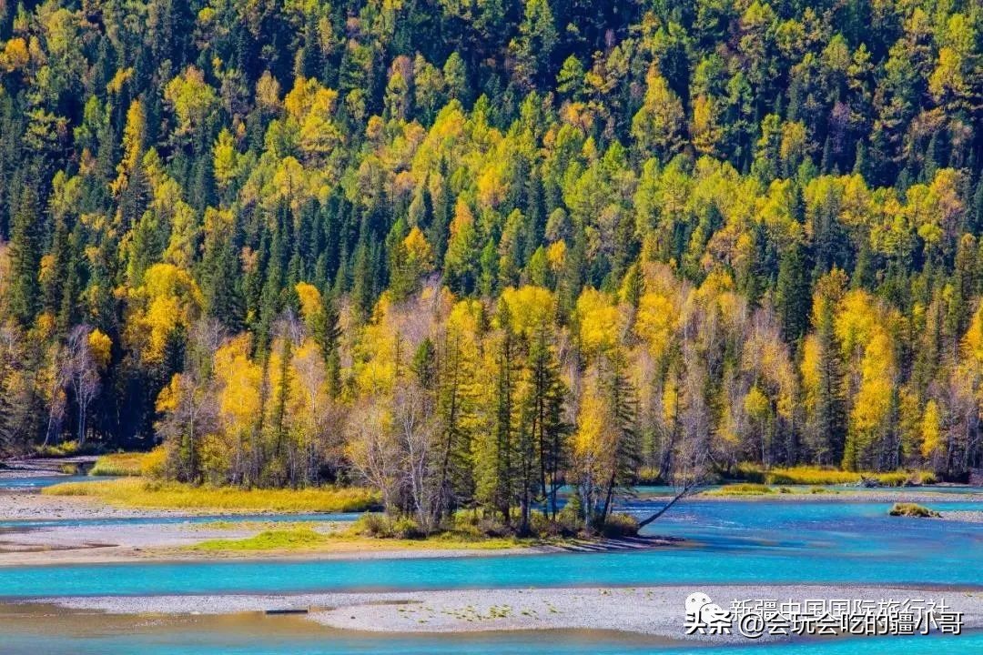 2023国内最适合秋游的地方！退休必看、人少实惠！去了就不想回家