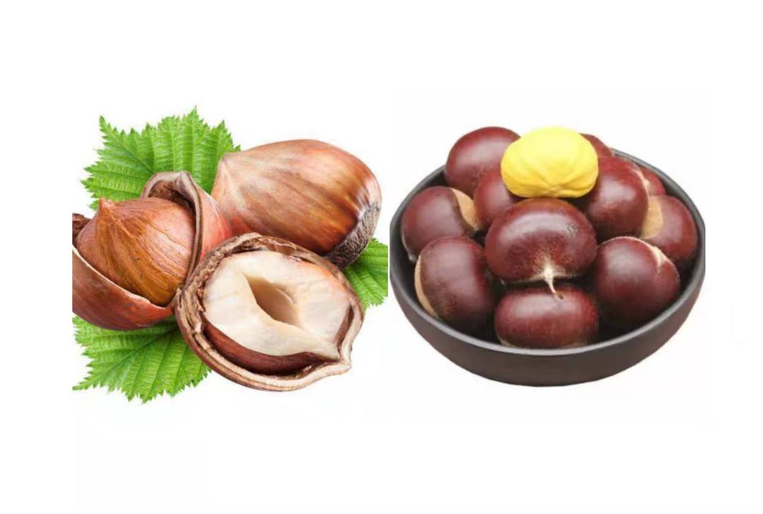 世界上最有营养的坚果是什么,坚果营养价值高四大坚果不要吃