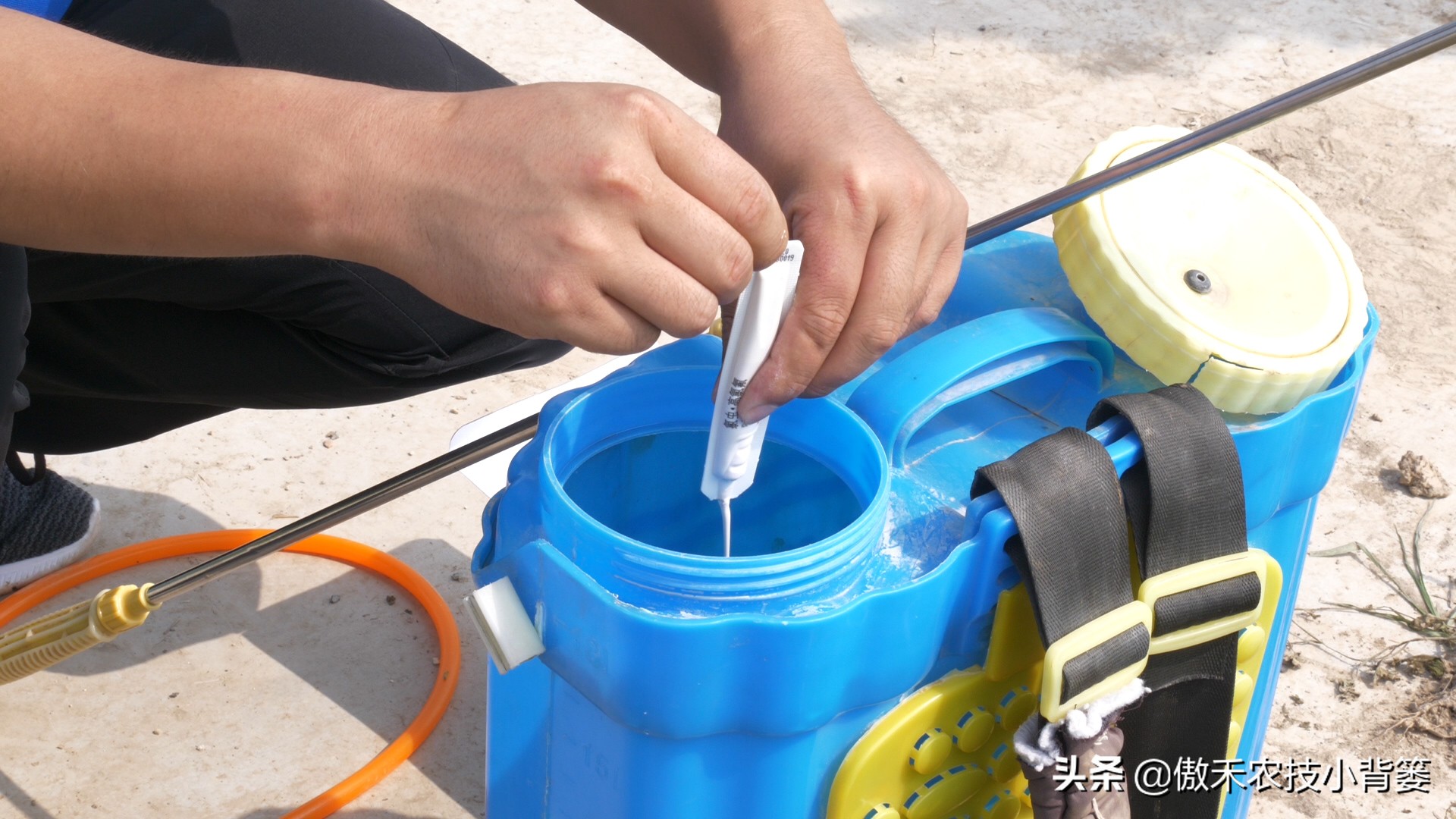 赤霉素适用于什么作物,赤霉素在不同作物上如何使用