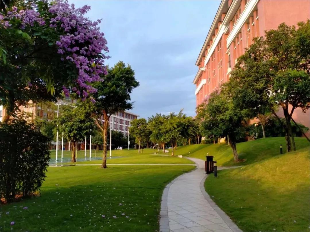 广东碧桂园职业学院招生计划,广东碧桂园职业学院2023年