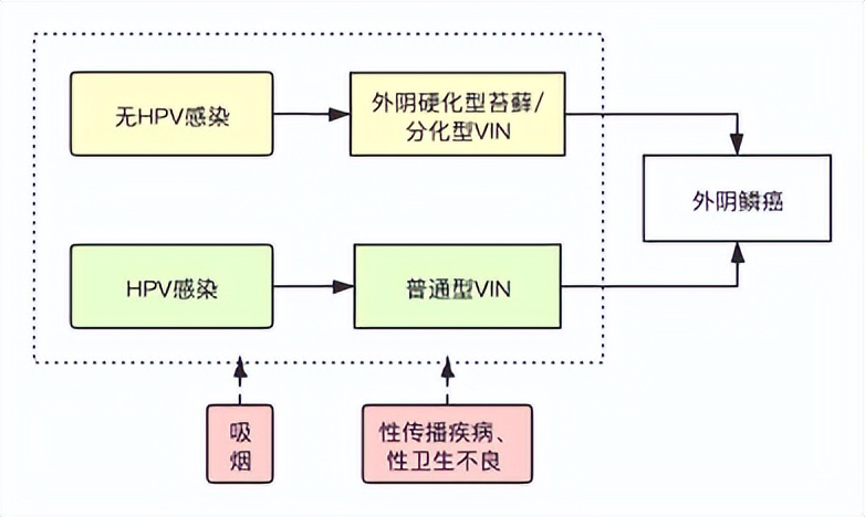 21岁女子确诊宫颈癌痛哭自责,23岁女子外阴癌前病变