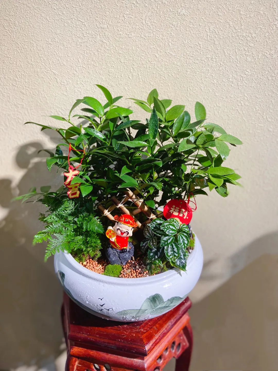 湖南“花二代”开园艺中心，线上一天卖花12万盆，年营业额超2000万元