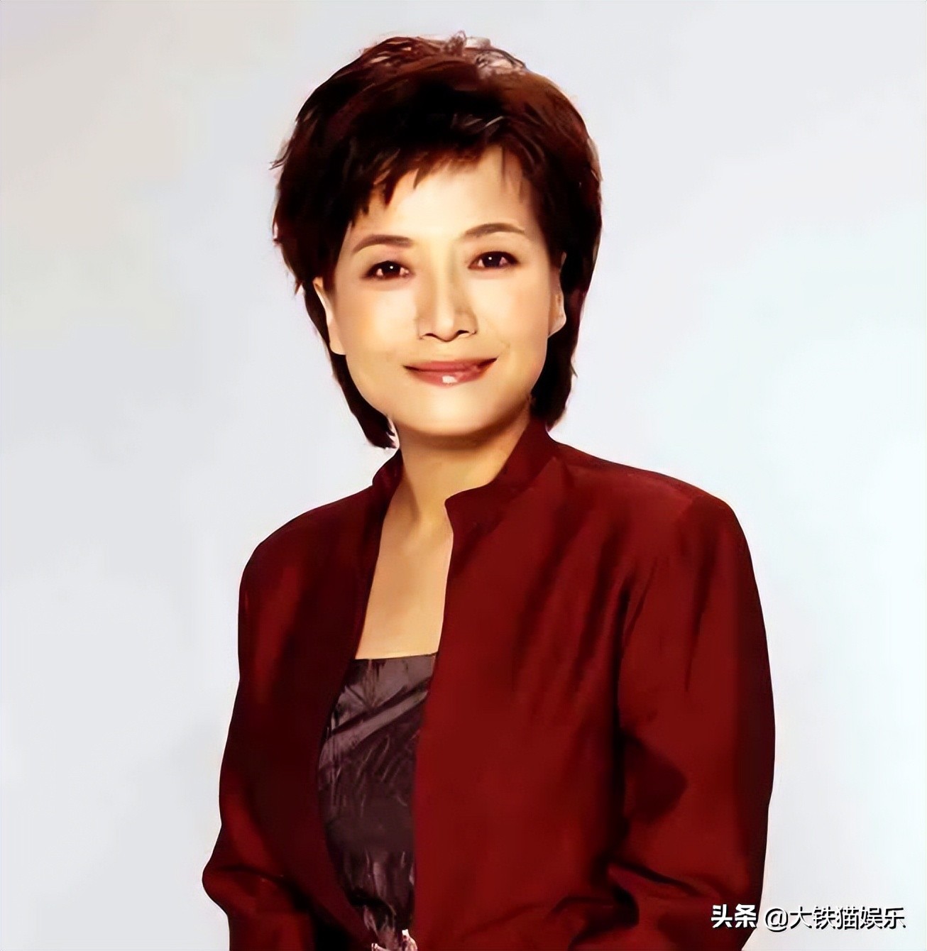 河北籍央视主持人,河北盛产主持人15位央视名嘴