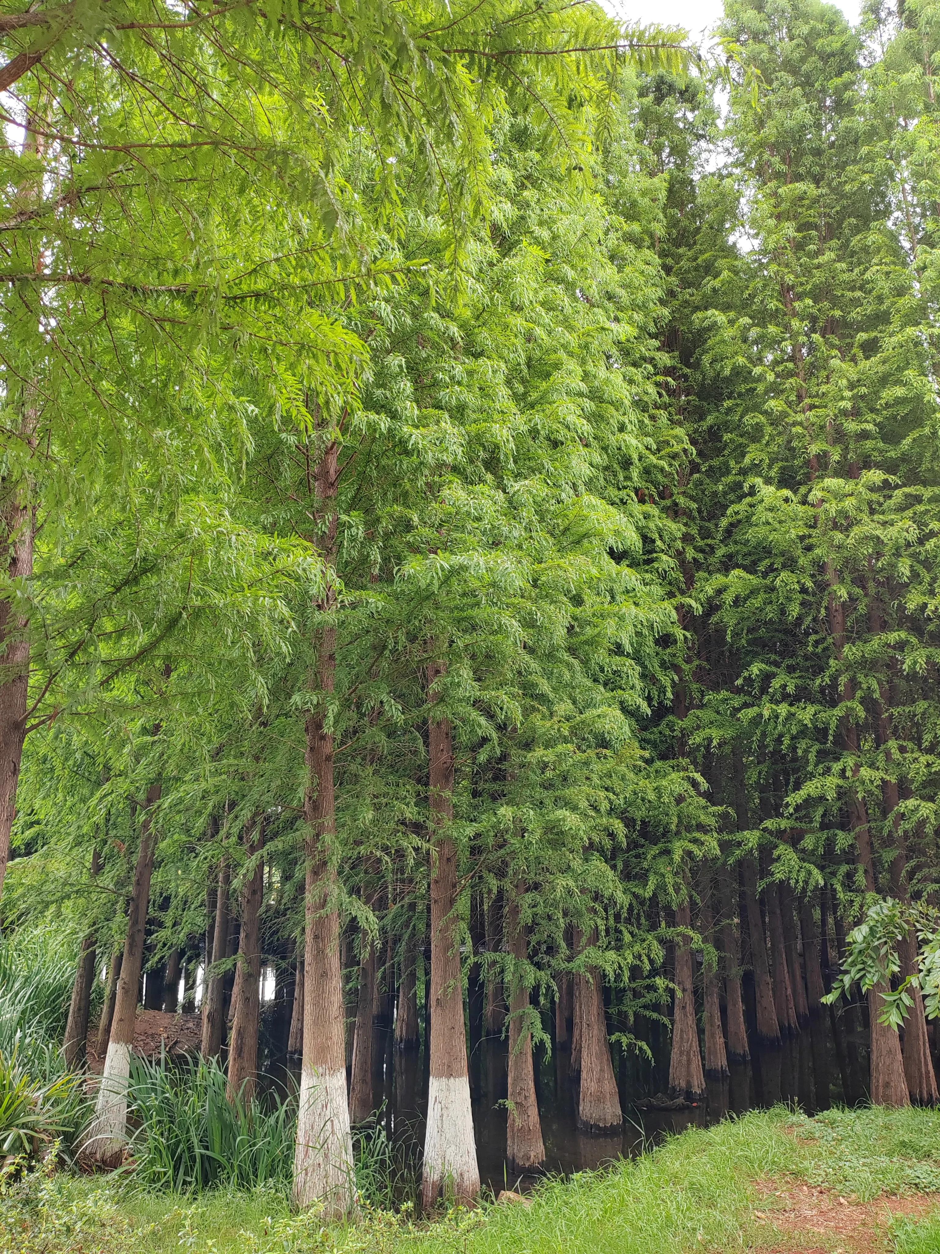 与春城昆明的再次邂逅，让这个盛夏有一抹清凉