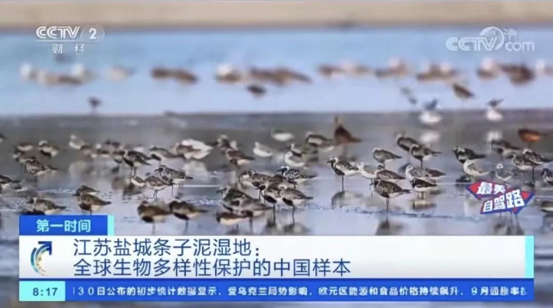 《新闻联播》点赞！国庆假期前两天，央视多个栏目连续聚焦盐城