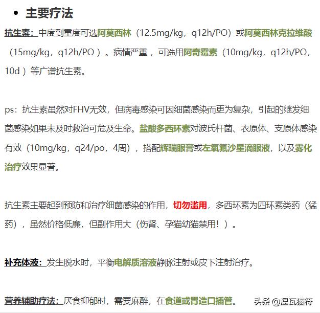 猫疱疹病毒和猫杯状病毒pcr的区别,猫咪疱疹病毒猫鼻支症状