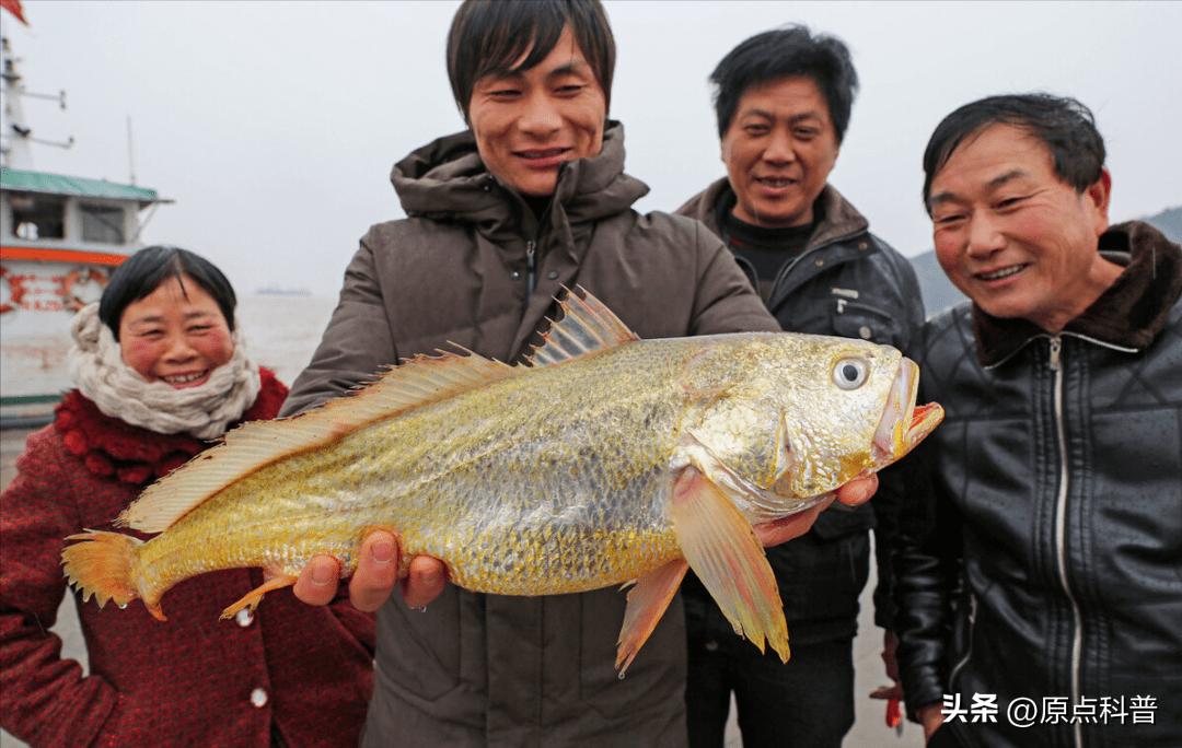 世界上最贵的海鲜十大排名,世界十大名贵海鲜