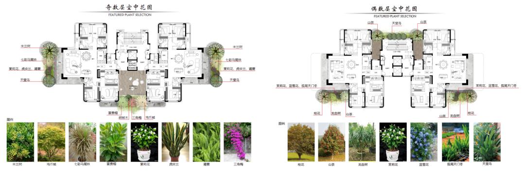 福州四代住房缺点,福州四代住宅