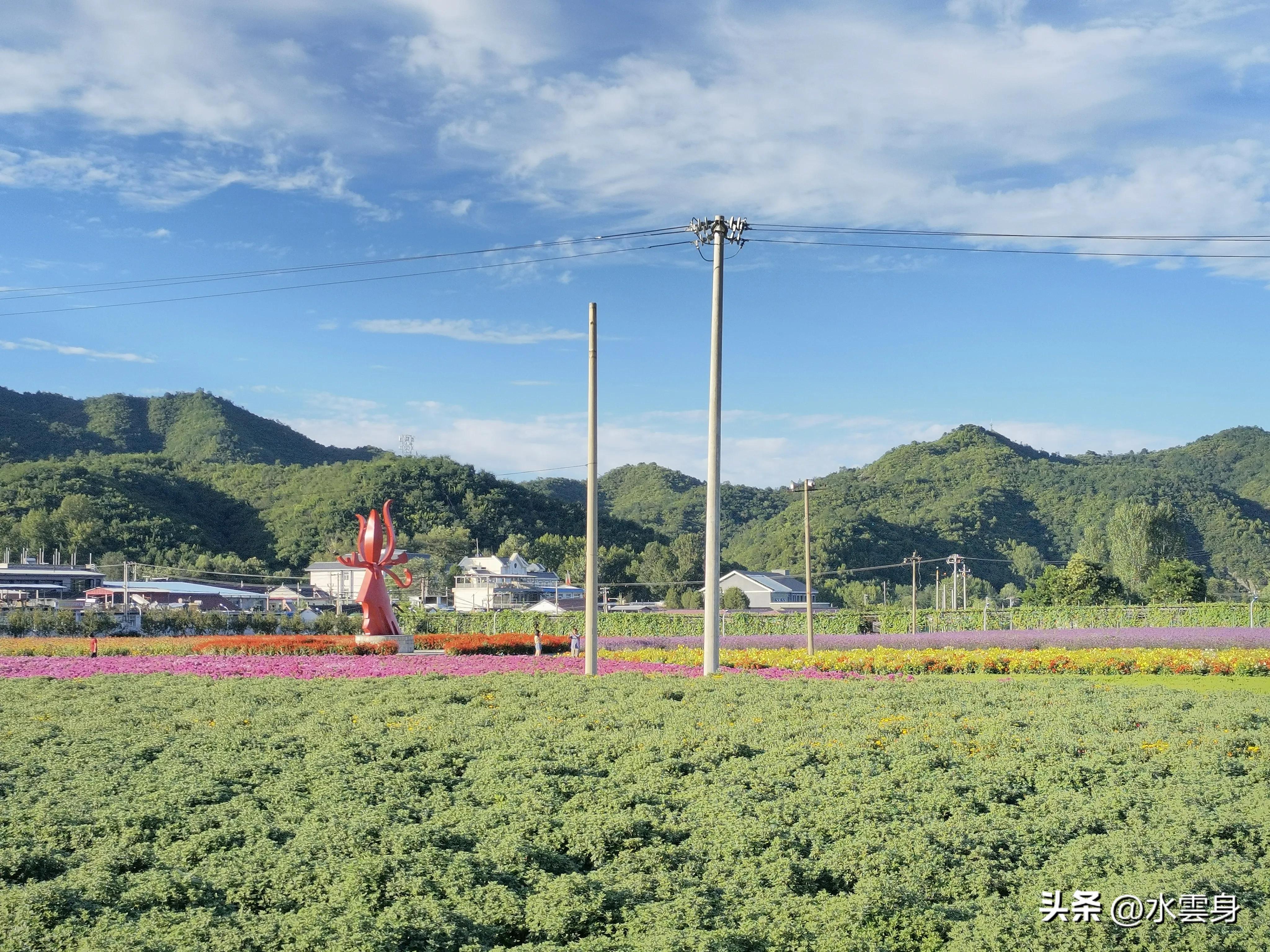 京郊赏花自驾游线路推荐,京郊免费景点一日自驾游路线攻略