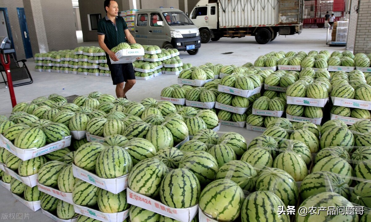 广东省深圳市福田农产品批发市场,福田农产品批发市场地图