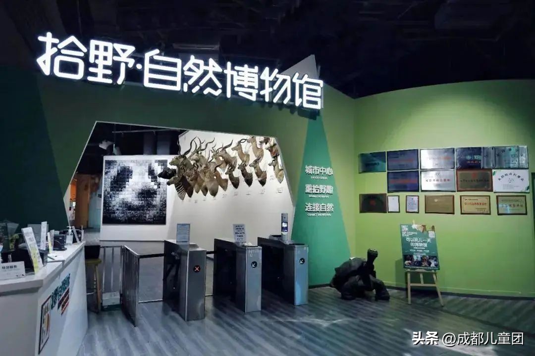 成都武晋路蓝花楹,昆明街头蓝花楹绽放成梦幻花海