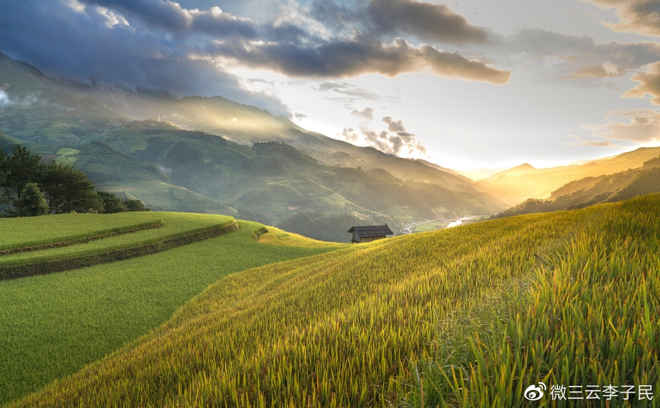 什么是寄销方式,什么是寄售项目