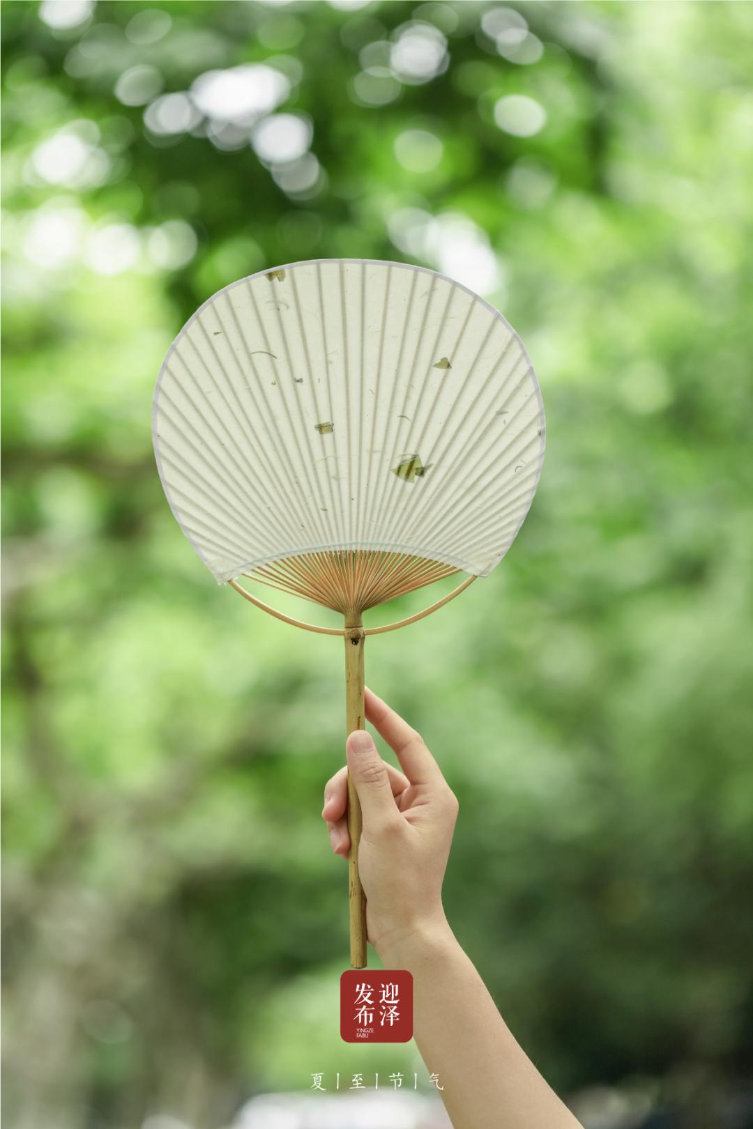 节气夏至已至向阳而生,节气夏至一切如约而至