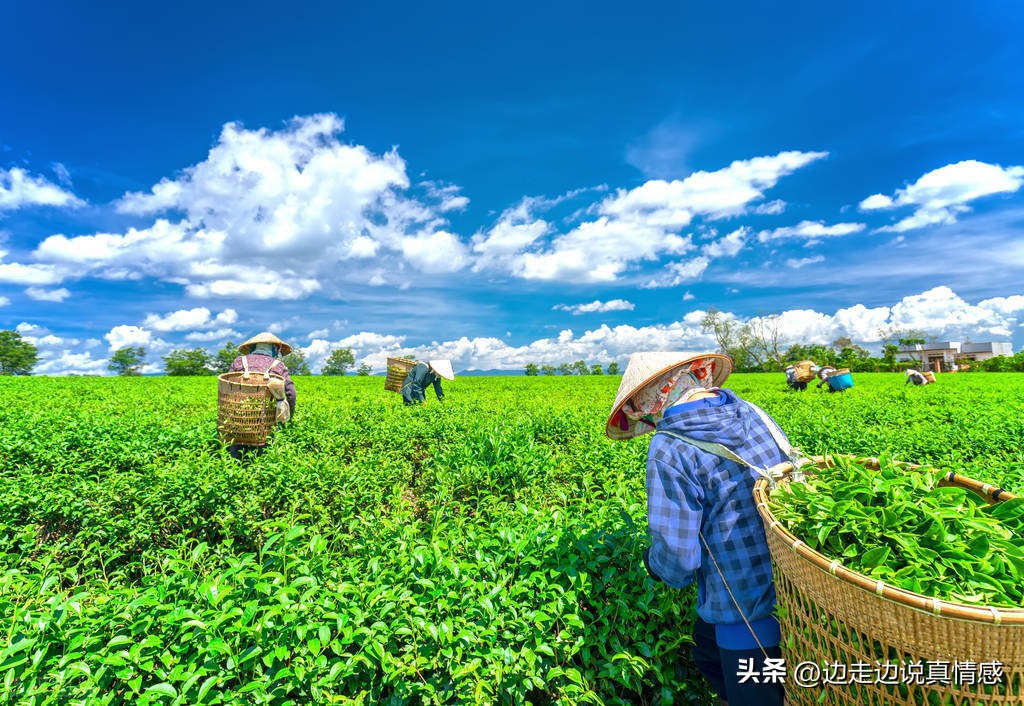 机关单位占用双休日加班违法没,周六加班算在绩效违法吗