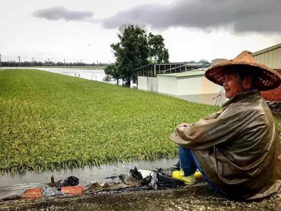 台湾人农村生活水平,台湾人生活水平怎么样