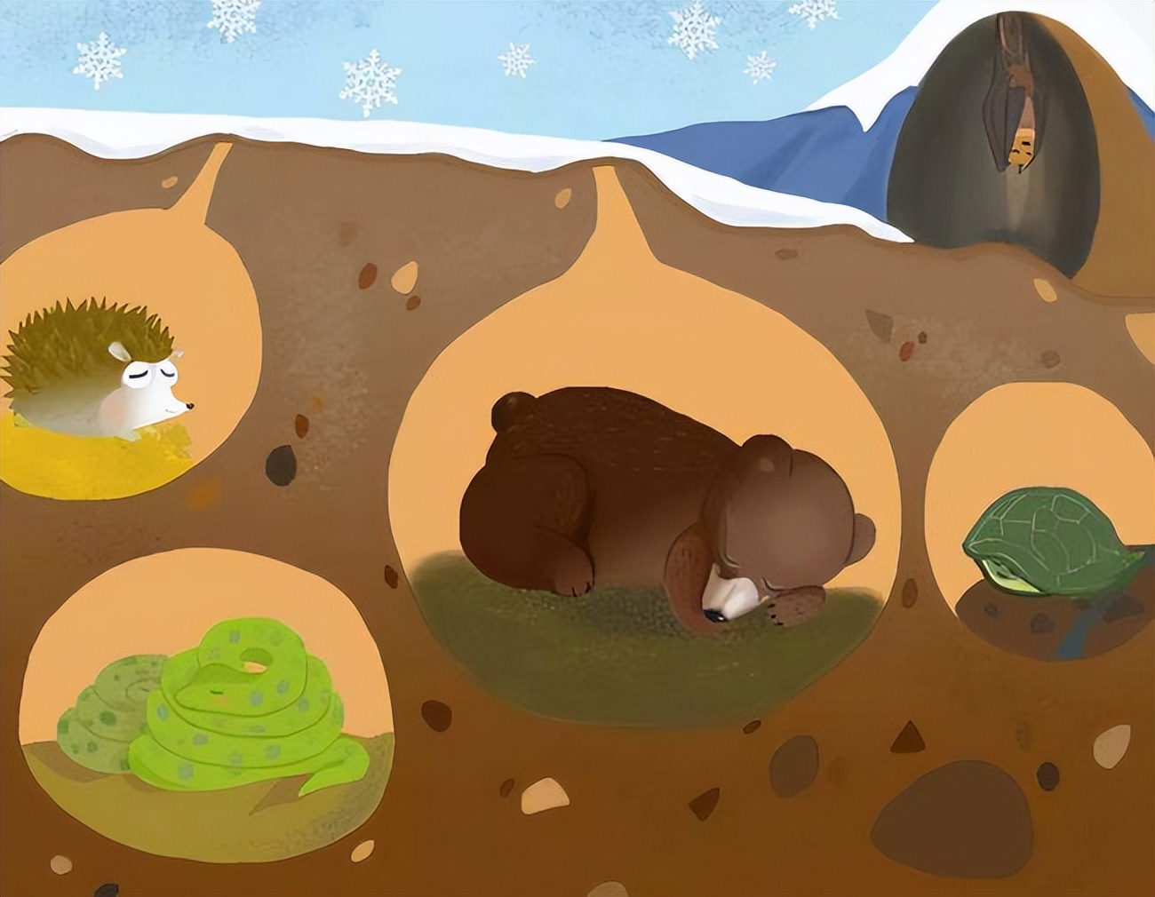 蛇钻进引擎盖,车子引擎盖有蛇