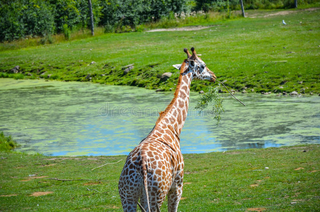 忙碌的暑假生活快要结束了,愉快的暑假生活简单又漂亮