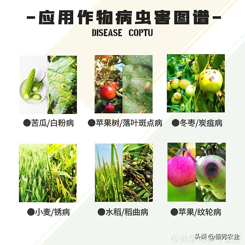 辉丰农药戊唑醇,近期农药杀菌剂价格趋势