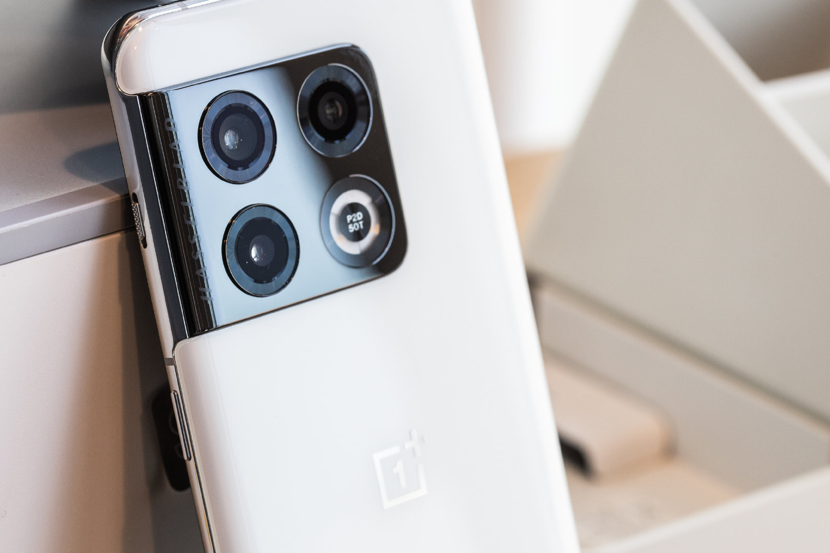 女神节礼物不二之选,女神节的礼物熊猫