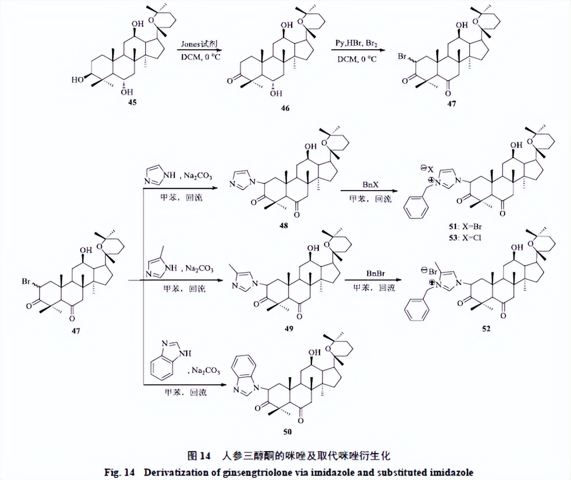 人参皂苷的最新相关研究,人参皂苷的生物转化