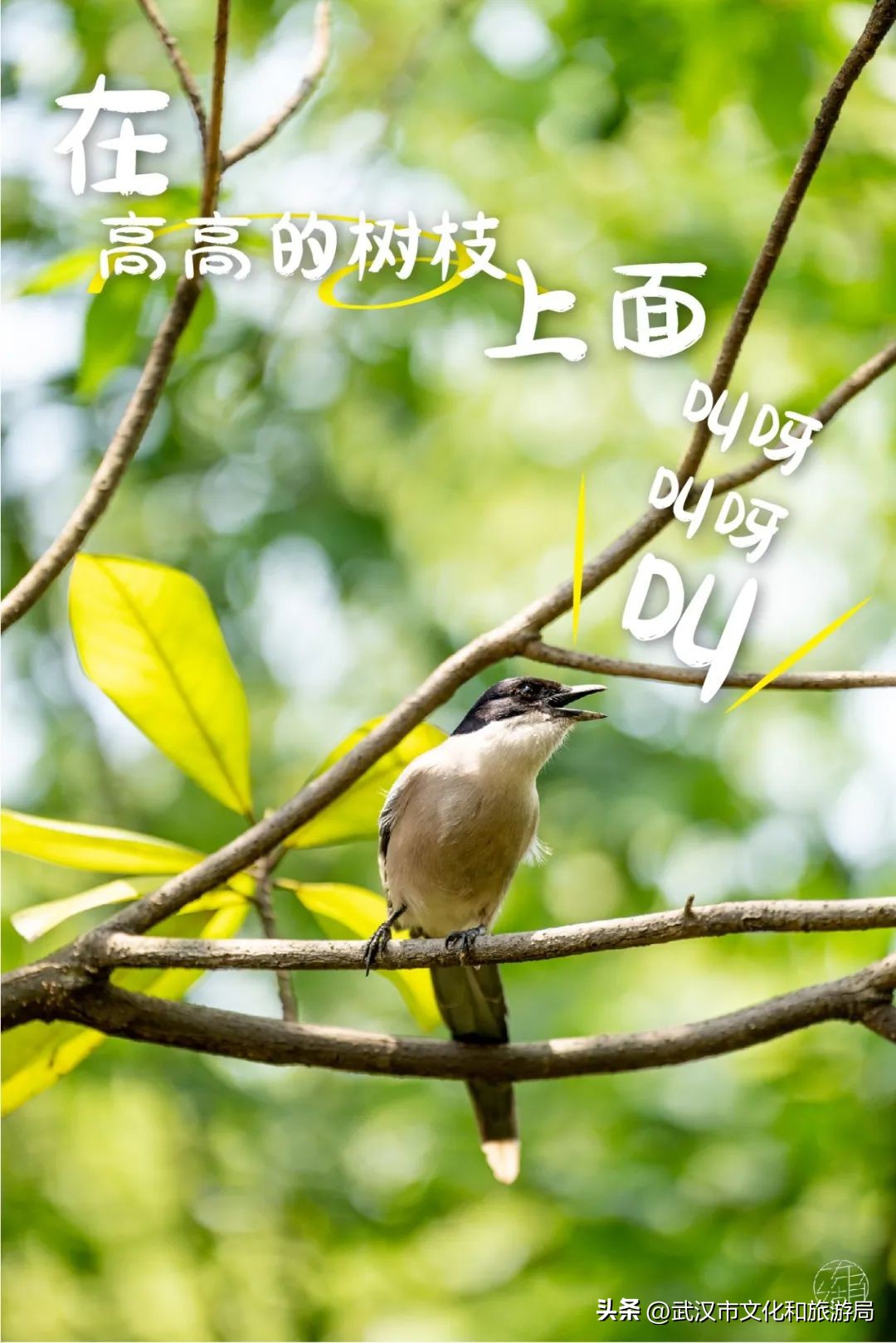 东湖推荐游玩,东湖新游玩项目