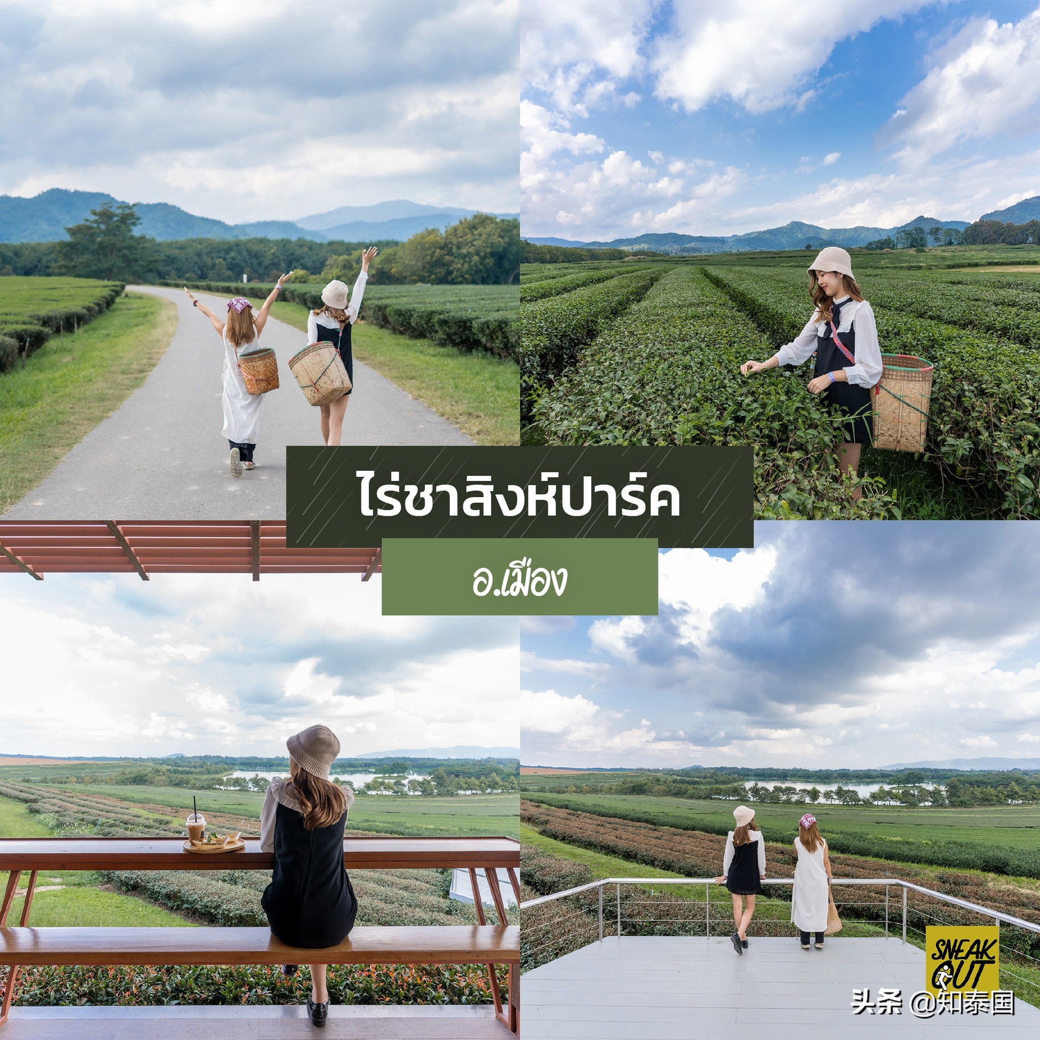 泰国清莱旅游攻略图,泰国雨天旅游必去景点