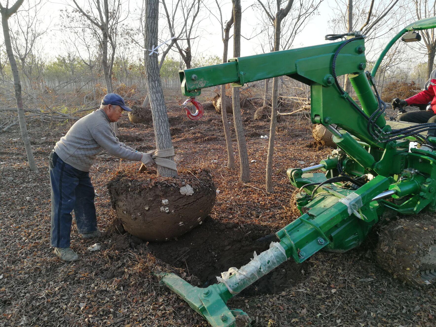 移树机的使用,移树机怎么使用