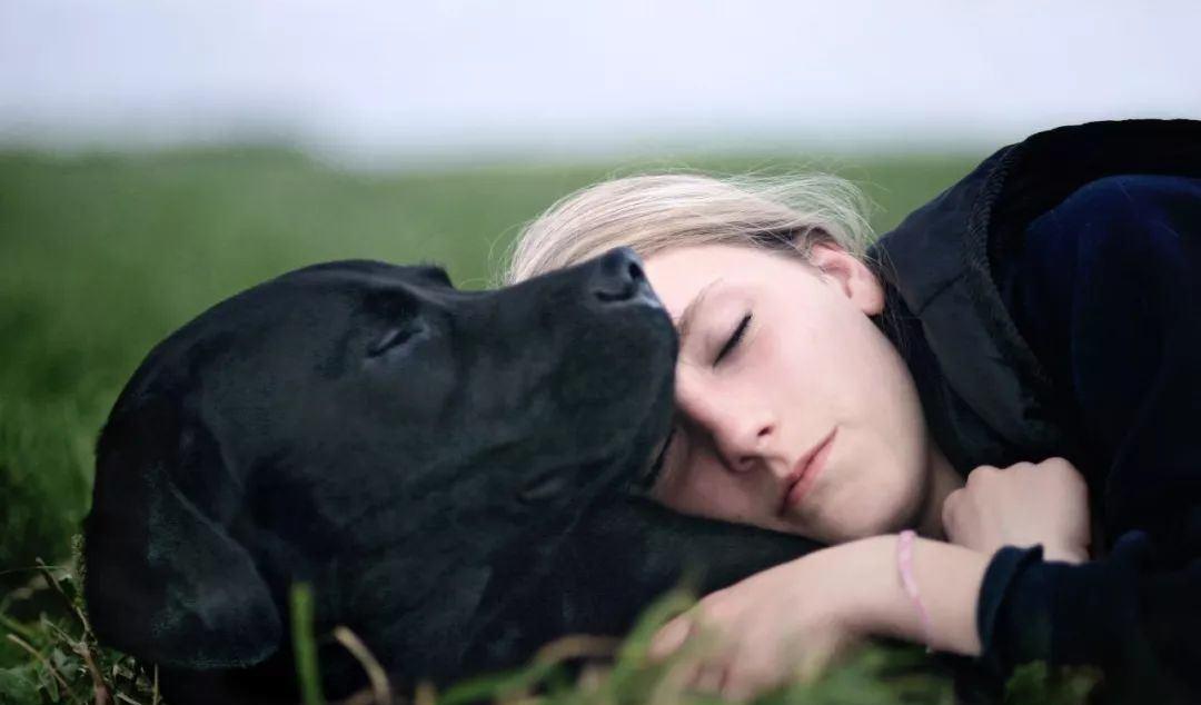 狗狗睡觉突然抽搐是什么原因,狗狗睡觉时眼睛抽搐