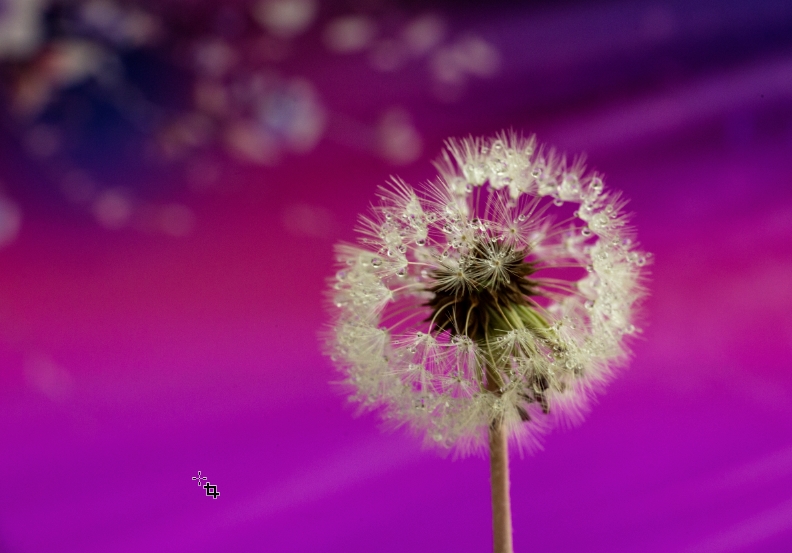 ps高级灰油画风景怎么调,ps莫兰迪高级灰最好教程