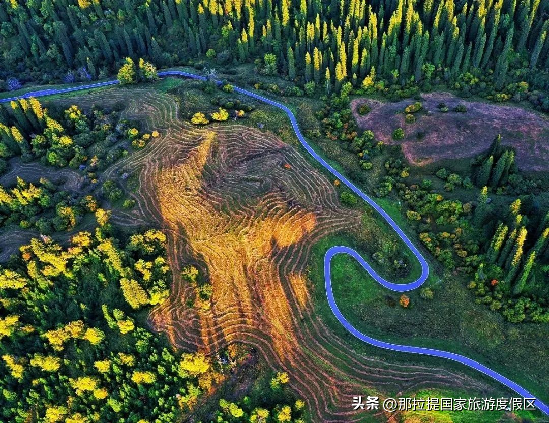 2023那拉提度假攻略：独库公路自驾游（六）