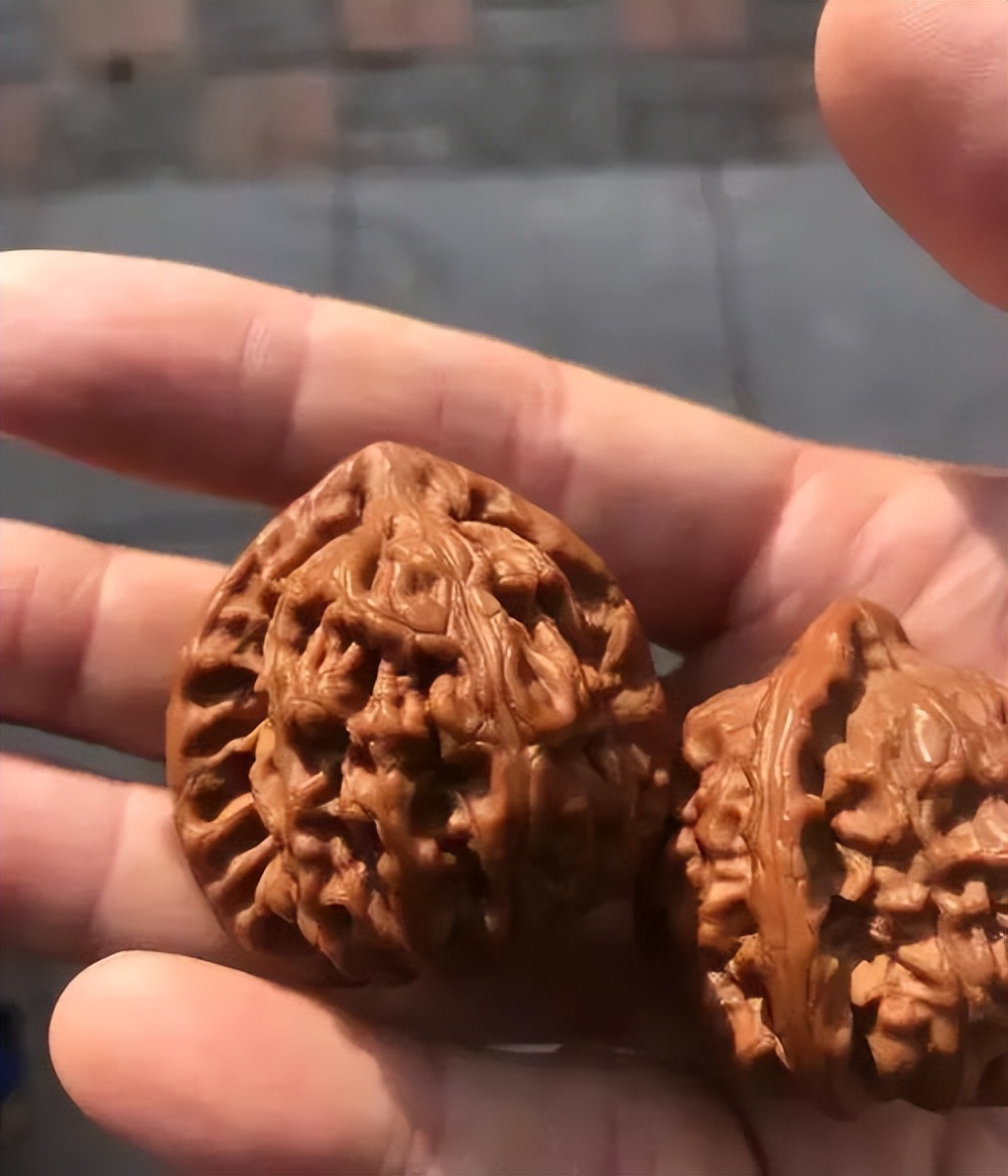 购买文玩核桃,什么最重要?文玩核桃购买全攻略!