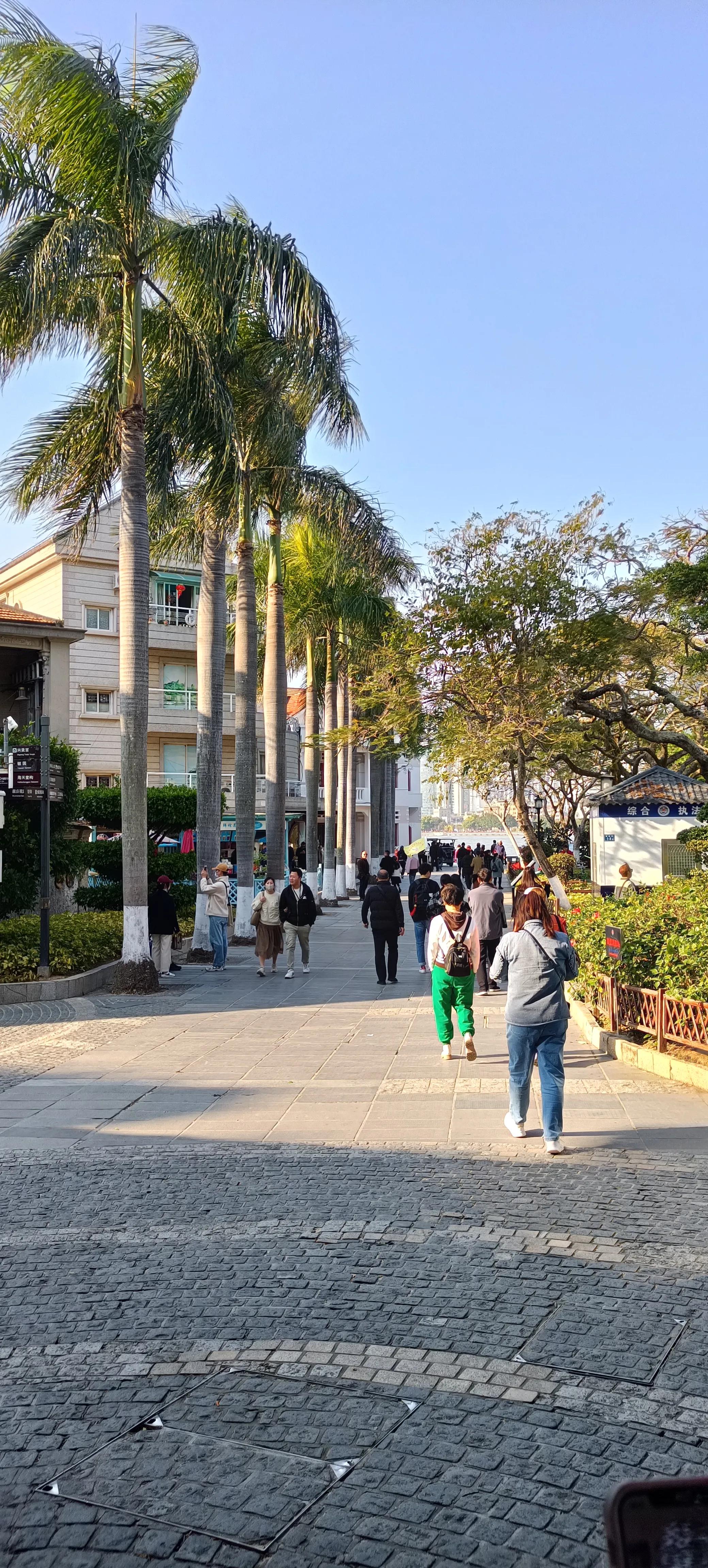 为什么去厦门都要去鼓浪屿,厦门鼓浪屿之行的感受