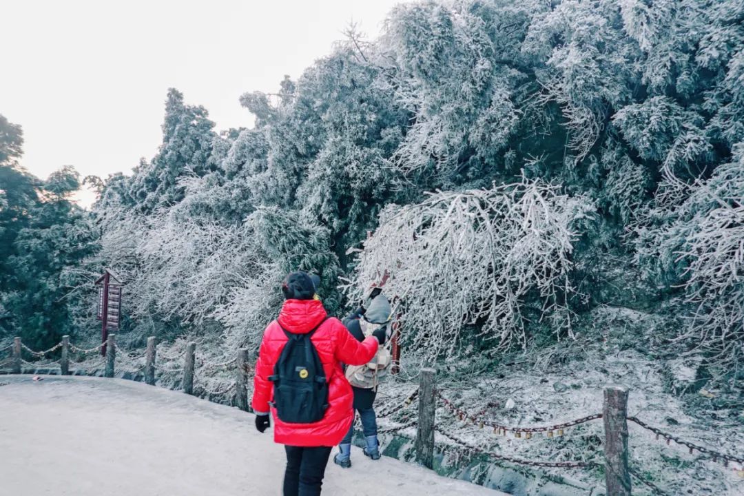 还剩10天!如何安全有仪式感地迎接元旦?这14条周边短线值得一去