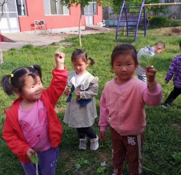 探秘泡泡之旅--道朗镇鱼池幼儿园小班班本课程