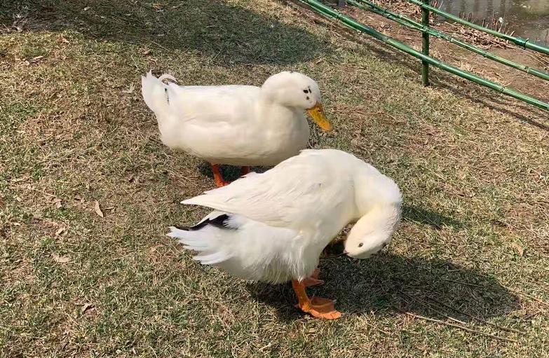 骑行打卡景点,湿地骑行观风景
