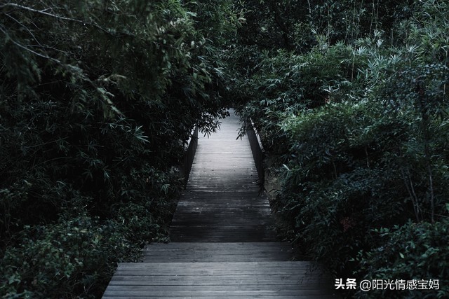 心情灰暗的微信头像,彻底伤心绝望的微信头像