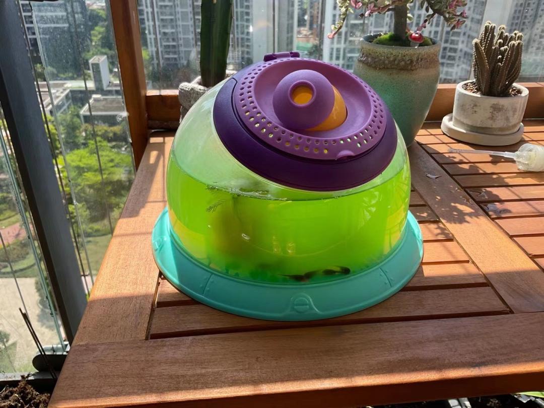 孩子经常提问我该怎么办,孩子问什么都不说怎么沟通