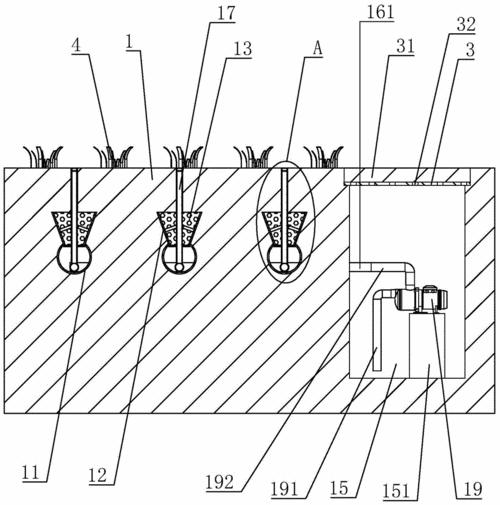 混合草坪养护措施,混合草坪施工