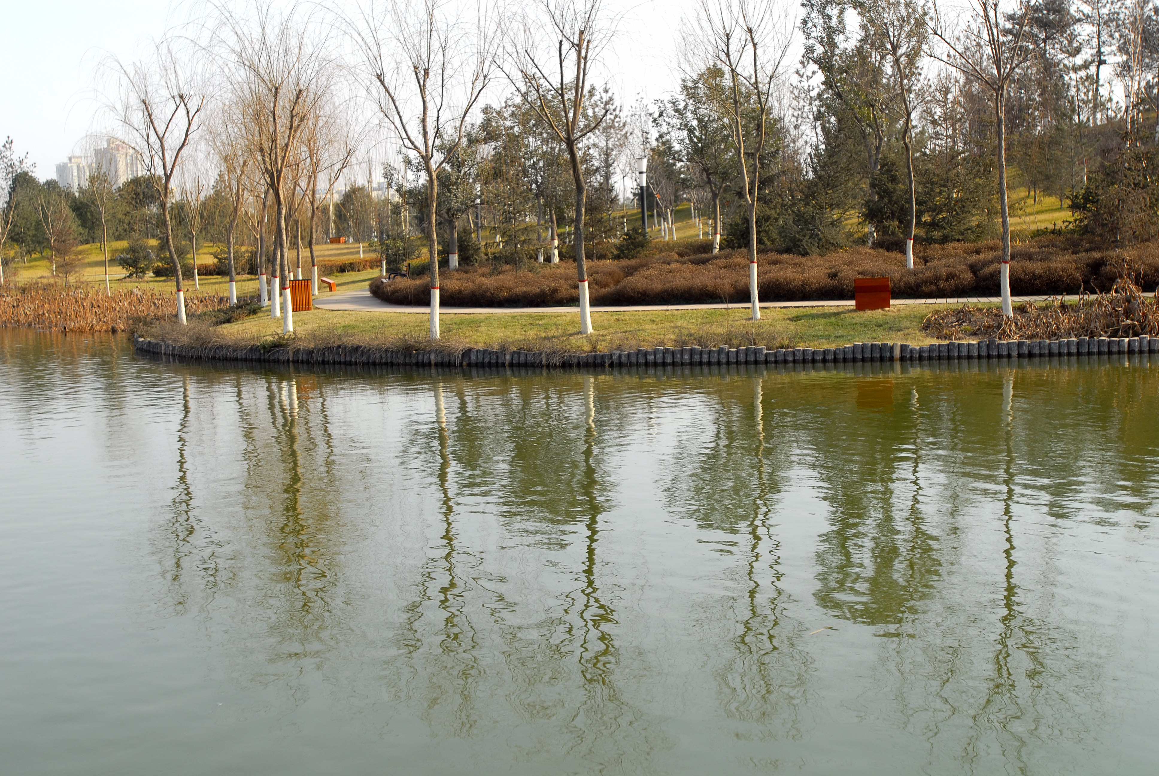 2007年的西安城市运动公园