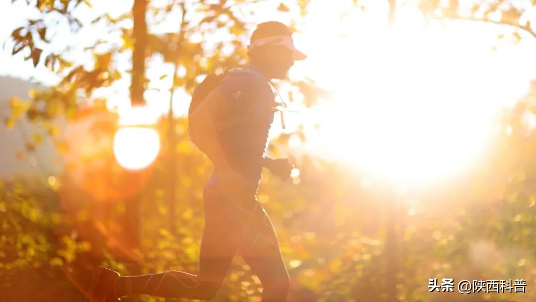 鼻子上的黑头的正确处理方法,鼻子上的黑头大家都是怎么解决的