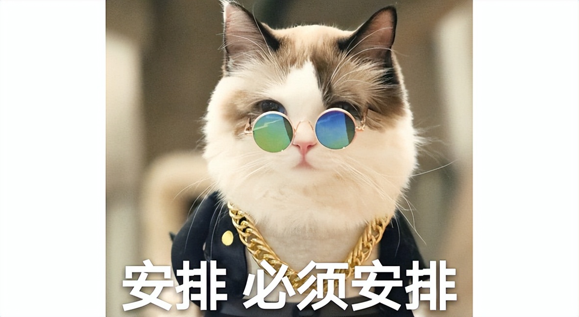 瑞迈特呼吸机对比乐普呼吸机,乐普r20和瑞迈特哪家好