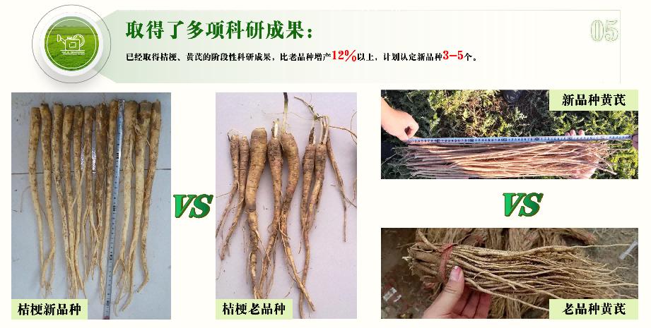 赤峰创业项目三等奖,赤峰市青年创业大赛