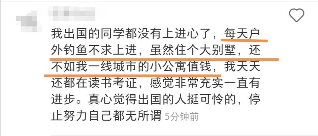 我在美国的朋友都不奋斗了…