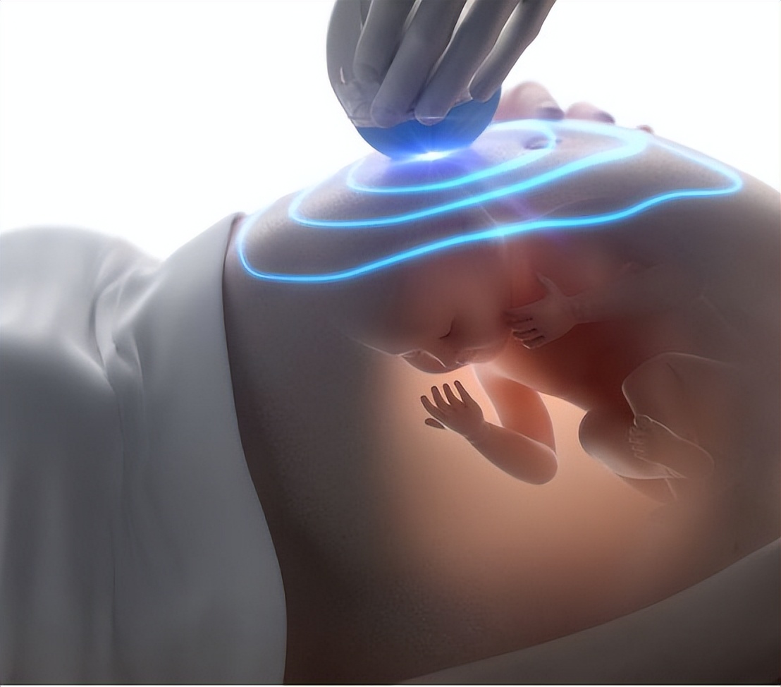 生男生女取决于精子？科学家发现卵子也有选择权，但结果却很意外