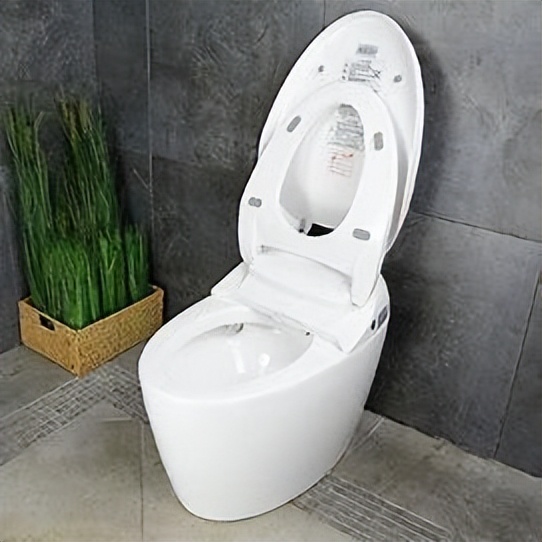国内智能马桶与国外的差异,智能马桶国内好还是国外的好